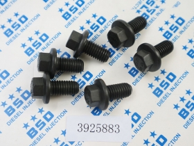 Cummins 3925883 Screw Hex Flange Head Cap